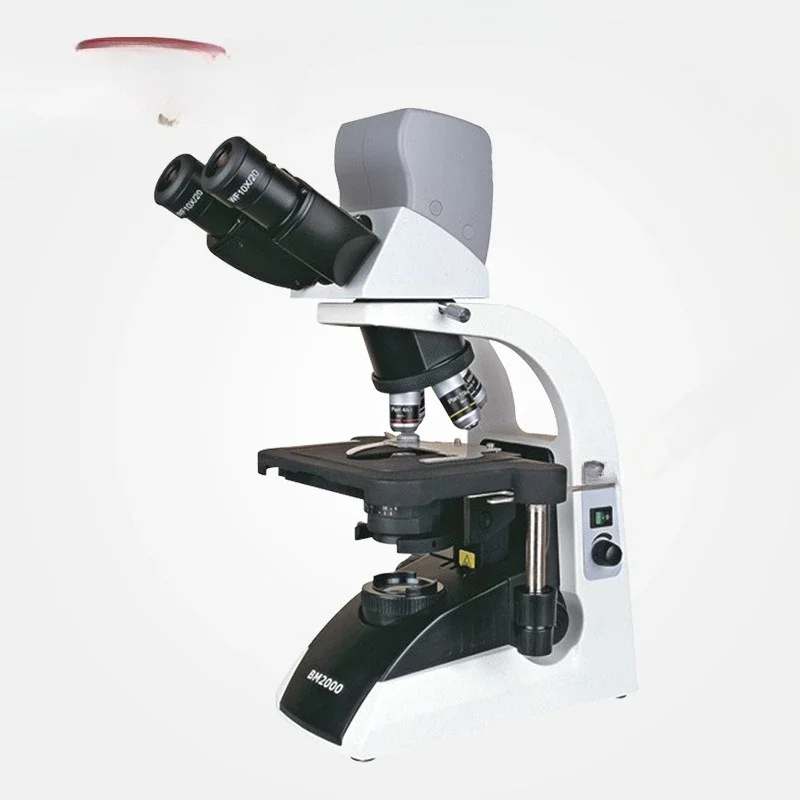 Biological microscope high definition digital binocular microscope, laboratory
Biological microscope high definition digital binocular microscope, laboratory