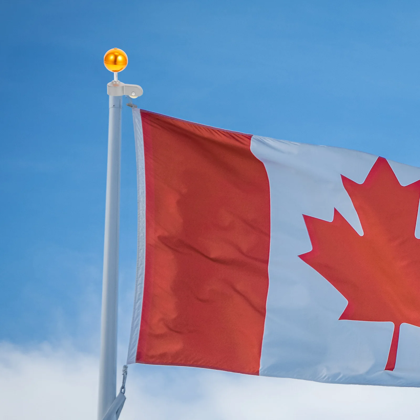 1 set 1 Set Flag Pole Repair Kit Premium Durable Sturdy Easy Install For Garden National Flags Flagpole Accessories Pulley Truck
1 set 1 Set Flag Pole Repair Kit Premium Durable Sturdy Easy Install For Garden National Flags Flagpole Accessories Pulley Truck