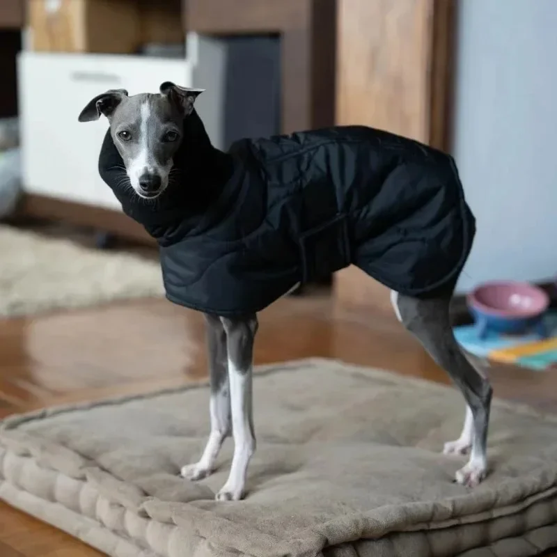 Autumn Dog Cotton-padded Clothing Windproof Cold Protection Winter Thicken Dog Coats Warm and Comfortable Pet Products
Autumn Dog Cotton-padded Clothing Windproof Cold Protection Winter Thicken Dog Coats Warm and Comfortable Pet Products