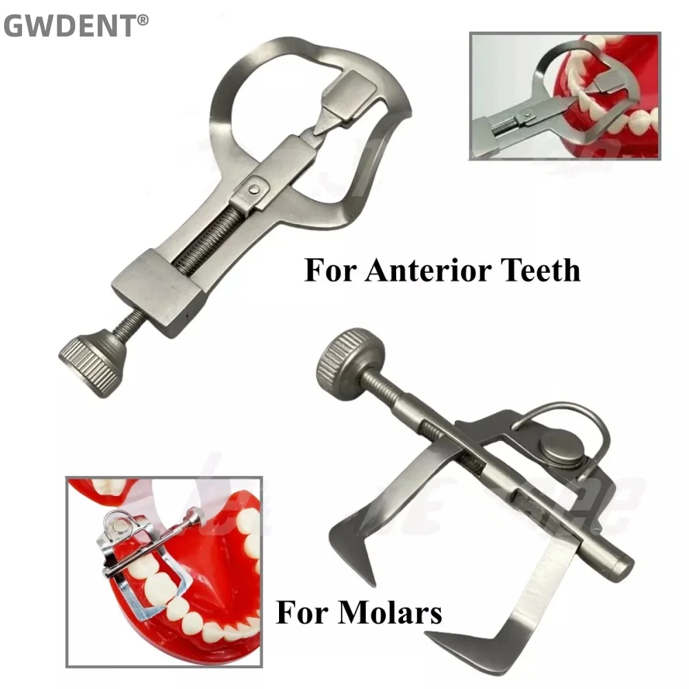 Dental Teeth Separator Dividor Wedge Retainer Anterior Teeth Posterior Teeth Orthodontic Matrix Rubber Dam Dentist Oral Care
Dental Teeth Separator Dividor Wedge Retainer Anterior Teeth Posterior Teeth Orthodontic Matrix Rubber Dam Dentist Oral Care