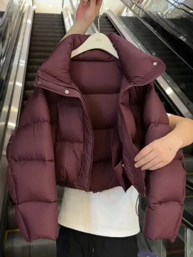 Корейская короткая пуховая куртка для женщин, зимняя модная утепленная куртка-пуховик винного цвета, прямого кроя, 90% пух, полиэстер
Корейская короткая пуховая куртка для женщин, зимняя модная утепленная куртка-пуховик винного цвета, прямого кроя, 90% пух, полиэстер