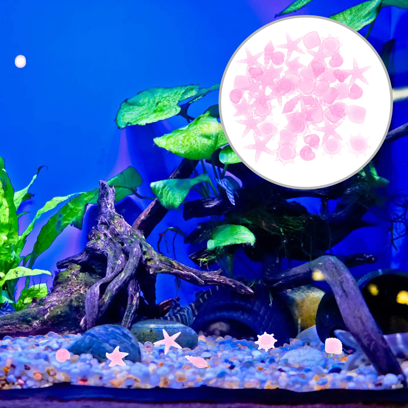 50pcs Stones Fluorescent Aquarium Gravel Resin Pebbles Luminous Rocks Fish Tank Decorations Glow Dark
50pcs Stones Fluorescent Aquarium Gravel Resin Pebbles Luminous Rocks Fish Tank Decorations Glow Dark