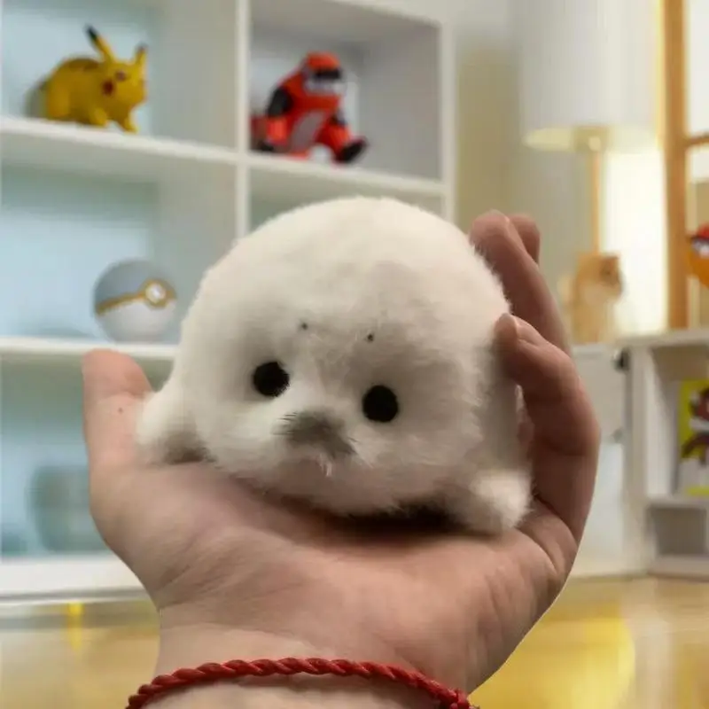 ⭐ Cute Baby Seal Doll Plush Toy Pendant Simulation Ocean Toy Souvenir Seal Pendant Gift Doll Bag Pendant
⭐ Cute Baby Seal Doll Plush Toy Pendant Simulation Ocean Toy Souvenir Seal Pendant Gift Doll Bag Pendant