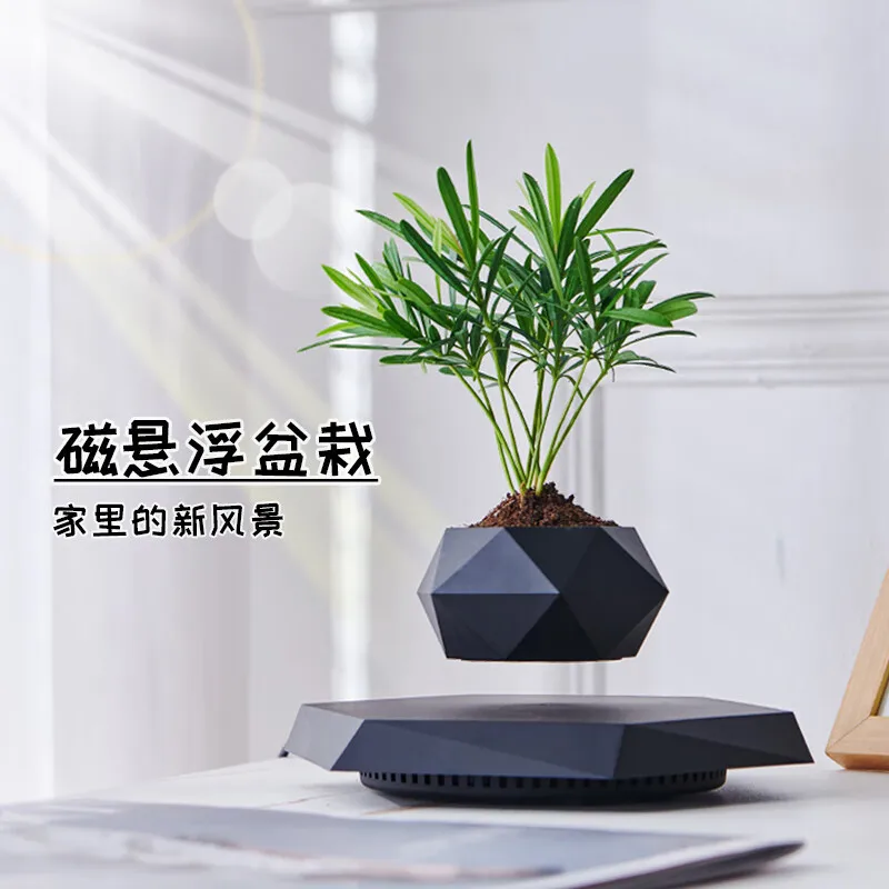 Levitating Plant Pot Magnetic Levitation Flower Pot Rotating Planters Suspension Floating Plant Succulents Potted for Home Livin
Levitating Plant Pot Magnetic Levitation Flower Pot Rotating Planters Suspension Floating Plant Succulents Potted for Home Livin