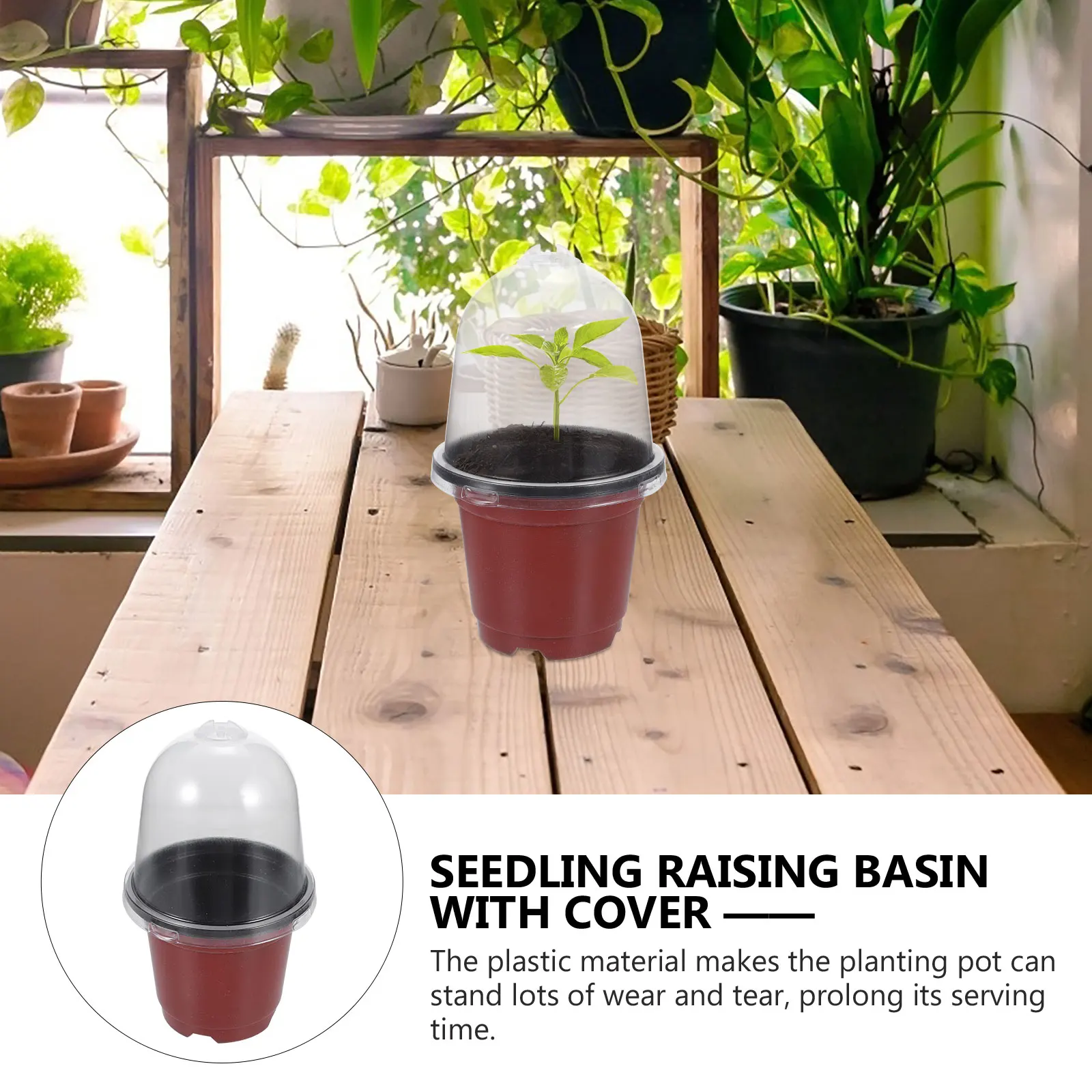Double Color Nursery Pots Transparent Cover Seedling Cups Plastic Outdoor Flower Pot Bonsai Container
Double Color Nursery Pots Transparent Cover Seedling Cups Plastic Outdoor Flower Pot Bonsai Container