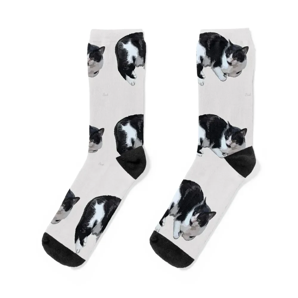 cute black and white cat painting Socks fashionable christmas gifts winter gifts Soccer Socks Male Women's
cute black and white cat painting Socks fashionable christmas gifts winter gifts Soccer Socks Male Women's