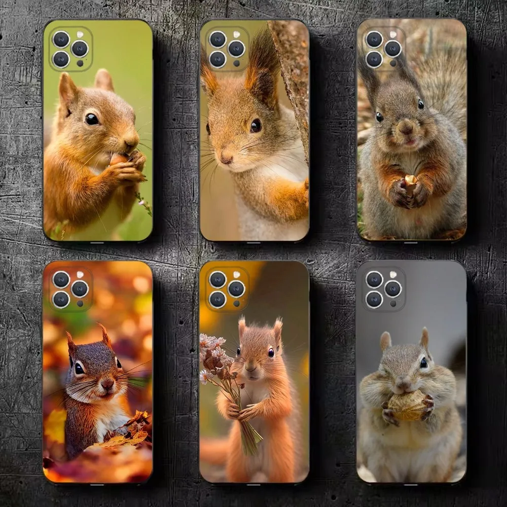 cute squirrel Phone Case For iPhone 15,14,13,12,11,Plus,Pro Max,XS,X,XR,SE,Mini,8,7 Soft Silicone Black Cover
cute squirrel Phone Case For iPhone 15,14,13,12,11,Plus,Pro Max,XS,X,XR,SE,Mini,8,7 Soft Silicone Black Cover