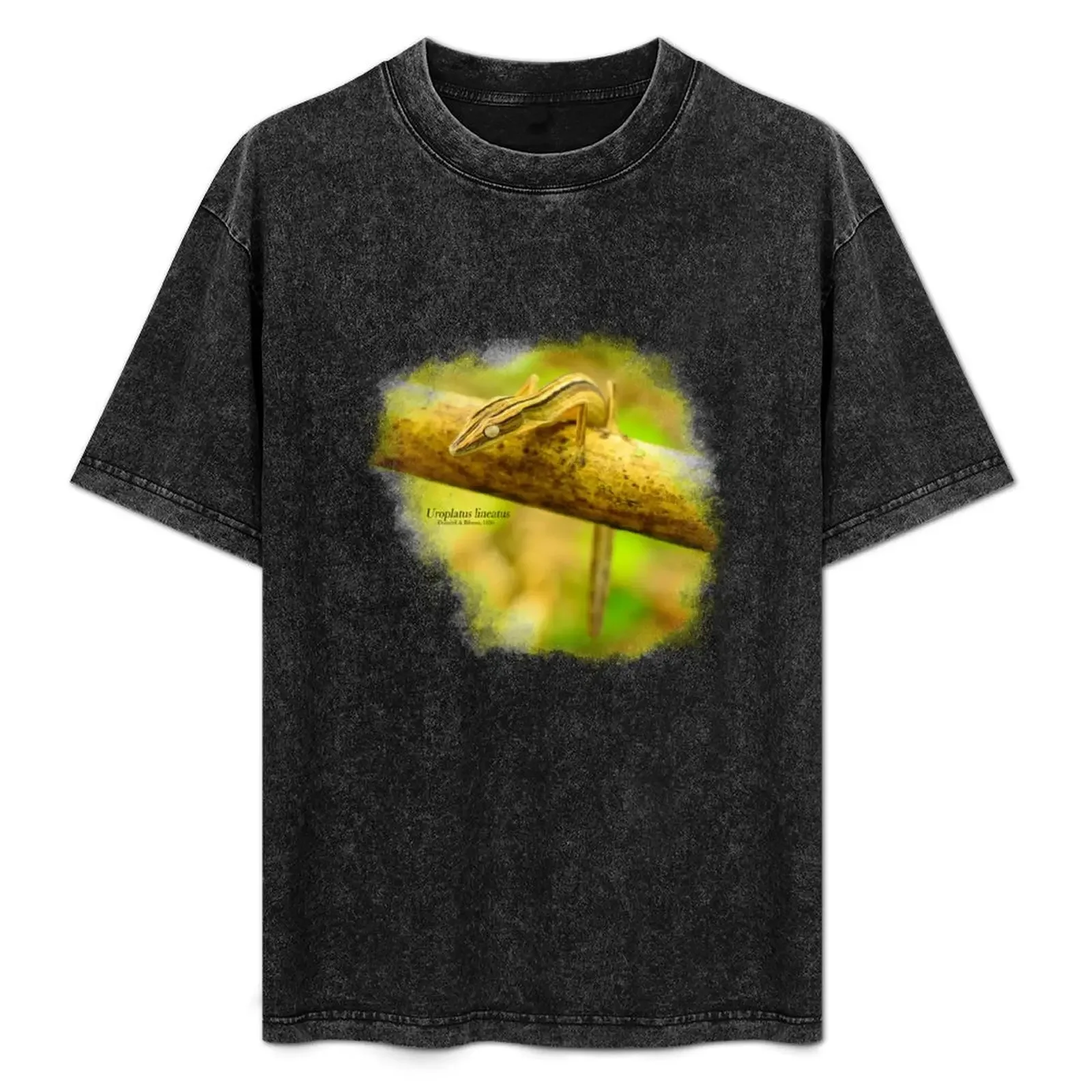 Uroplatus lineatus Duméril & Bibron, 1836 T-Shirt Anti-Perspiration Workout Top
Uroplatus lineatus Duméril & Bibron, 1836 T-Shirt Anti-Perspiration Workout Top