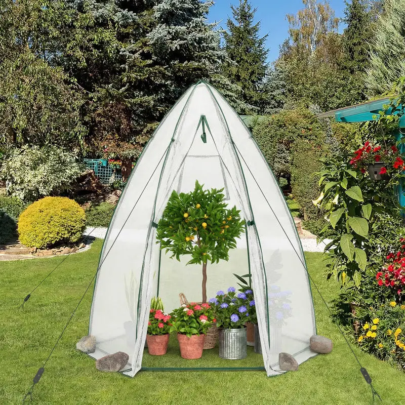 5.5 x 5.5 x 6 Feett Portable Garden Mini Greenhouse with All-Weather PE Cover-White
5.5 x 5.5 x 6 Feett Portable Garden Mini Greenhouse with All-Weather PE Cover-White