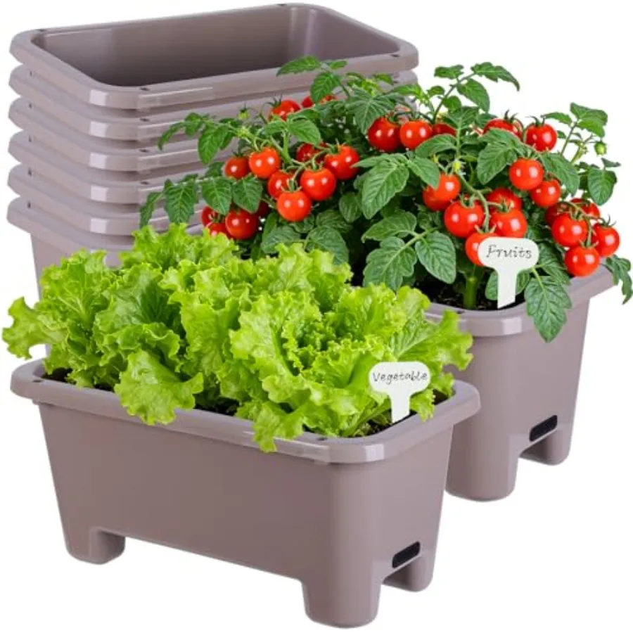 Self-Watering Rectangle Planter Boxes 8-Pack 15.7-Inch Window Box Planter with Drainage Holes Trays Pots for Vegetables Herbs F
Self-Watering Rectangle Planter Boxes 8-Pack 15.7-Inch Window Box Planter with Drainage Holes Trays Pots for Vegetables Herbs F