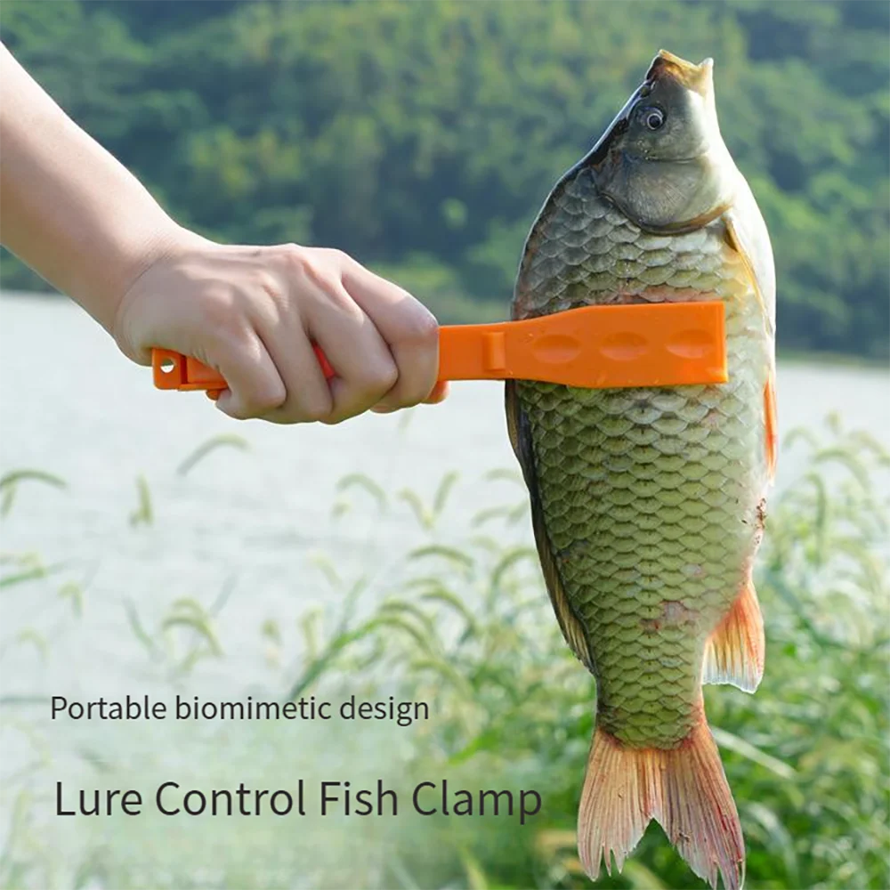 21CM Portable Fish Catching Tool Fishing Lure Accessories Tackle Clip Control Pliers Grip ABS Clips Gear 1PCS with Lanyard Loop
21CM Portable Fish Catching Tool Fishing Lure Accessories Tackle Clip Control Pliers Grip ABS Clips Gear 1PCS with Lanyard Loop