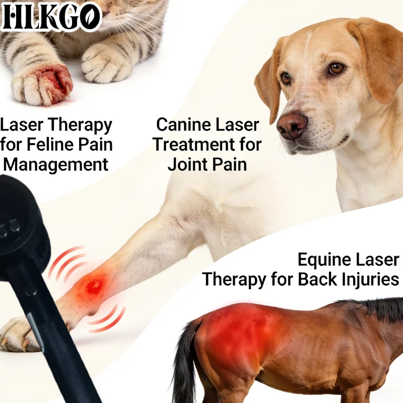 Professional Grade 25 Diodes Cold Laser Therapy, 650/808nm Red NIR Light for Human Pet Arthritis Fibromyalgia Pain Relief
Professional Grade 25 Diodes Cold Laser Therapy, 650/808nm Red NIR Light for Human Pet Arthritis Fibromyalgia Pain Relief