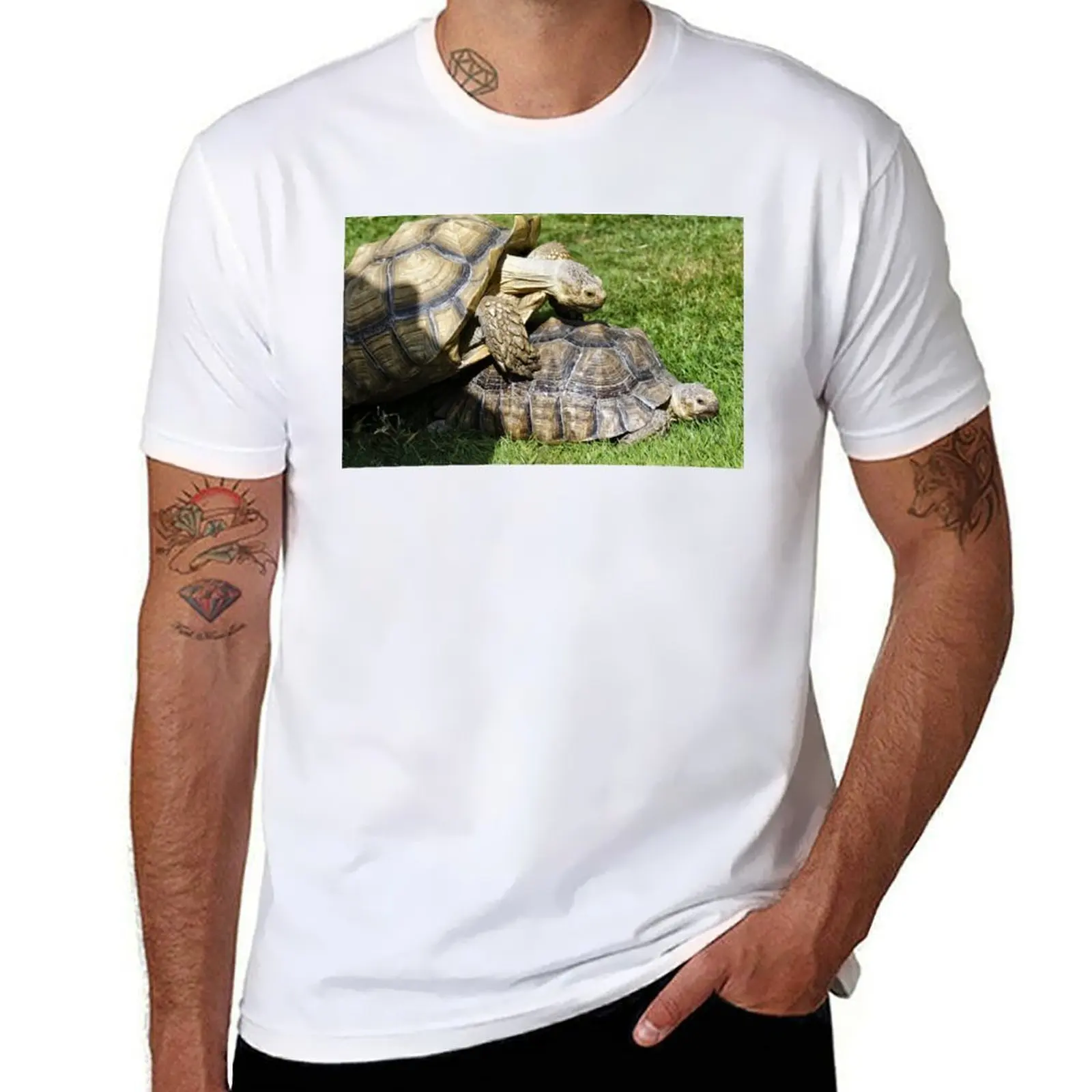 African spurred tortoise (Centrochelys sulcata) T-Shirt t shirt for man t shirt custom print cotton t shirt man T-Shirt
African spurred tortoise (Centrochelys sulcata) T-Shirt t shirt for man t shirt custom print cotton t shirt man T-Shirt