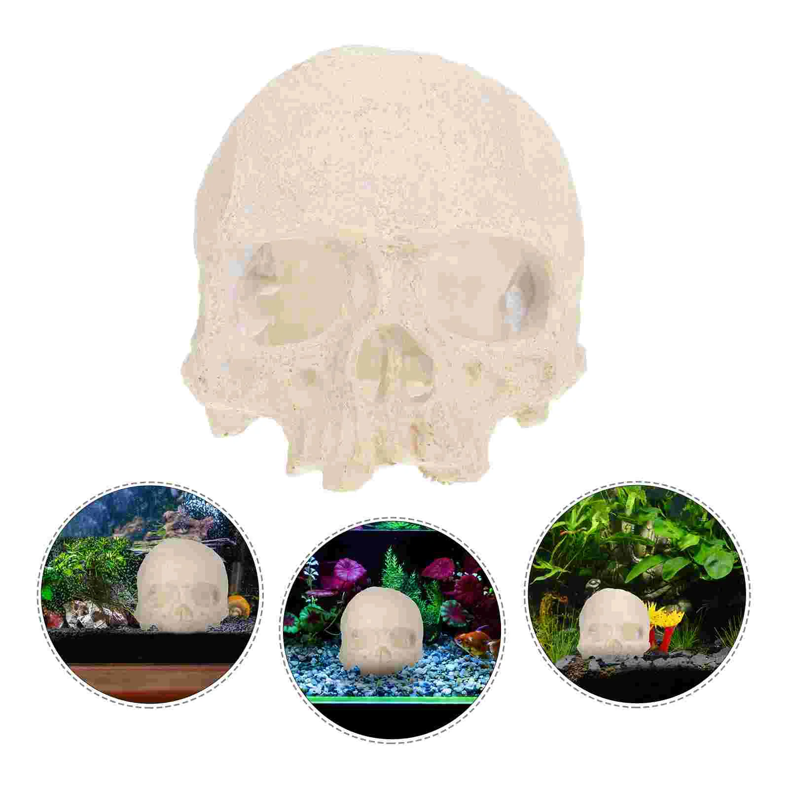 Home Fish Tank Decoration Animals Betta Cave Gecko Skull Reptile Hide Resin Spider House
Home Fish Tank Decoration Animals Betta Cave Gecko Skull Reptile Hide Resin Spider House