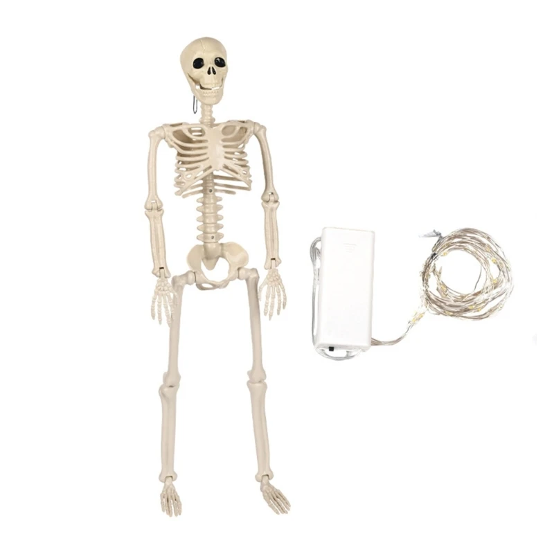 Realistic Graveyard Skeleton Bone Decoration with Light Glowing Artificial Skull
Realistic Graveyard Skeleton Bone Decoration with Light Glowing Artificial Skull