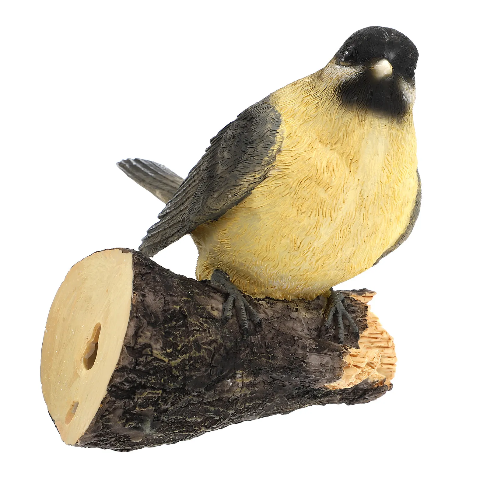 1 шт. Реалистичная декоративная фигурка птицы из смолы, креативное украшение для сада, декоративный элемент для садовой сцены, креативное украшение в виде птицы
1 шт. Реалистичная декоративная фигурка птицы из смолы, креативное украшение для сада, декоративный элемент для садовой сцены, креативное украшение в виде птицы