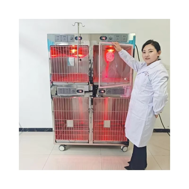 Good Price Veterinary Animal Surgery Pet Vet Hospital Clinic Animal and Veterinary Equipment Oxygen Icu Cage
Good Price Veterinary Animal Surgery Pet Vet Hospital Clinic Animal and Veterinary Equipment Oxygen Icu Cage