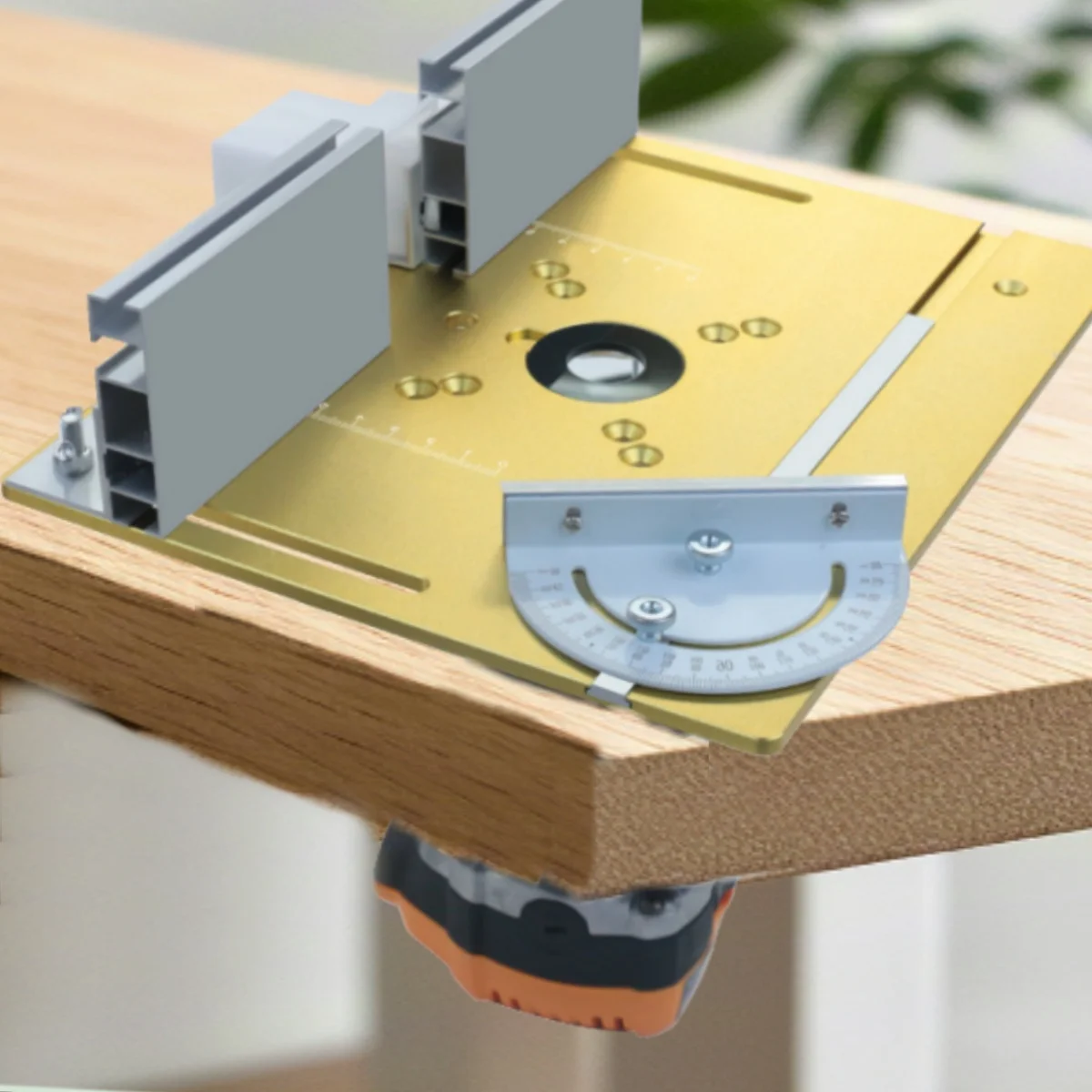 Алюминиевый фрезерный стол, вставная пластина, деревообрабатывающий триммер, электрическая откидная пластина для фрезерования древесины с угловым калибром для рабочего стола «сделай сам»
Алюминиевый фрезерный стол, вставная пластина, деревообрабатывающий триммер, электрическая откидная пластина для фрезерования древесины с угловым калибром для рабочего стола «сделай сам»