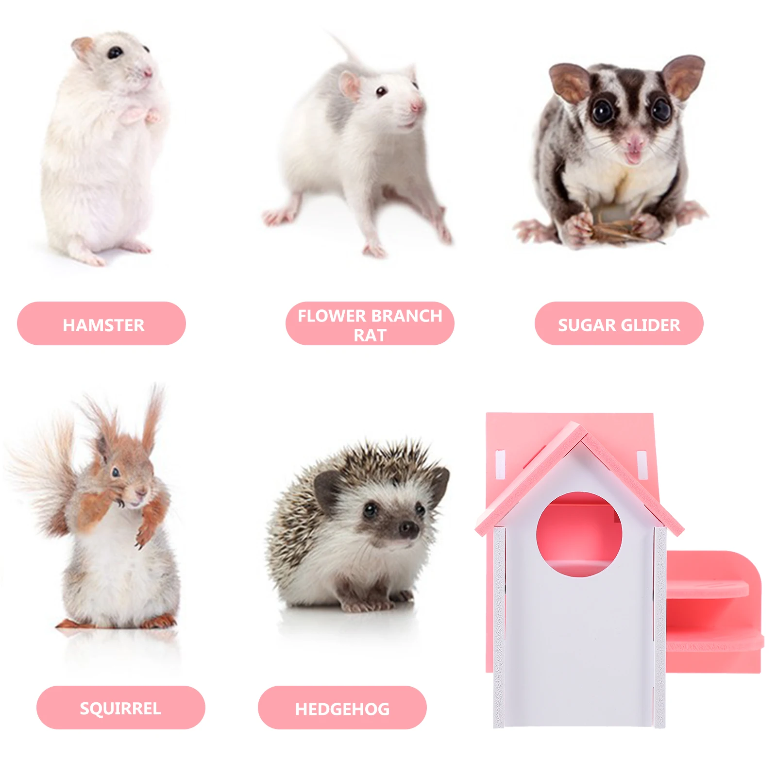 Colorful Small House Pet Guinea Pig Hideout Hideaway Animal Hamster Hiding Place Accessories
Colorful Small House Pet Guinea Pig Hideout Hideaway Animal Hamster Hiding Place Accessories