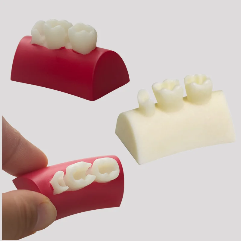 Dental Inlay Exercise Model Block Composite Resin Filling Practice Dentistry Oral Teeth Teaching Typodont Study Tool
Dental Inlay Exercise Model Block Composite Resin Filling Practice Dentistry Oral Teeth Teaching Typodont Study Tool