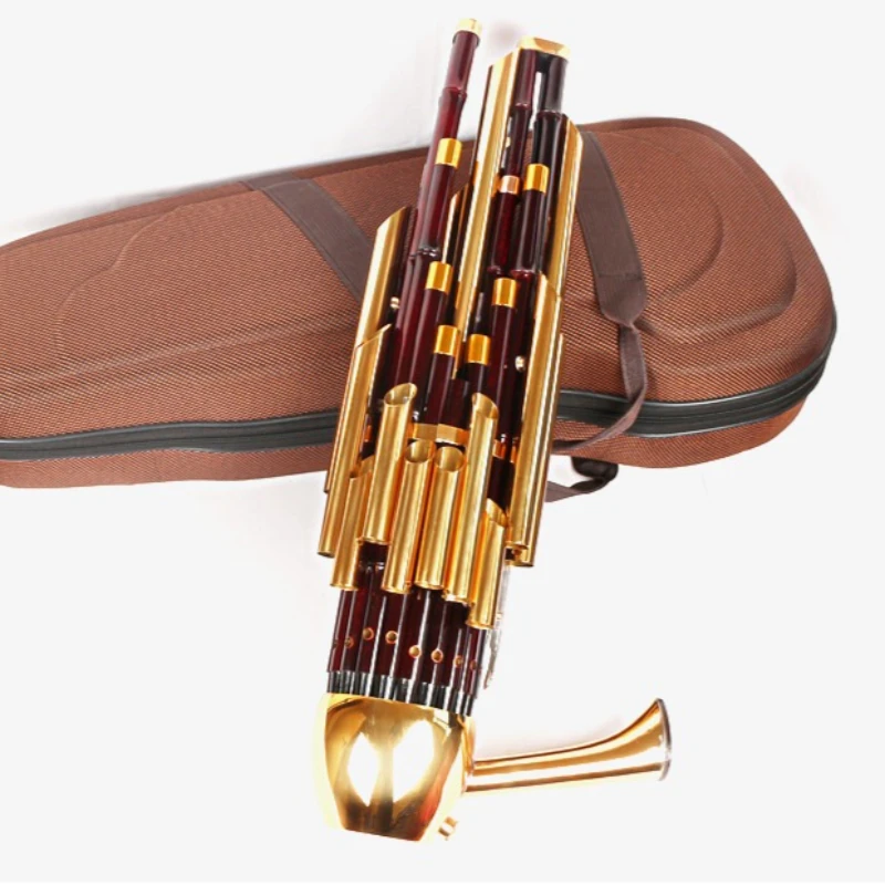 21 Springs Sheng Add Key Amplification Sheng D Key Chinese Traditional Wind Instruments Bamboo Performance Shengs for Beginners
21 Springs Sheng Add Key Amplification Sheng D Key Chinese Traditional Wind Instruments Bamboo Performance Shengs for Beginners