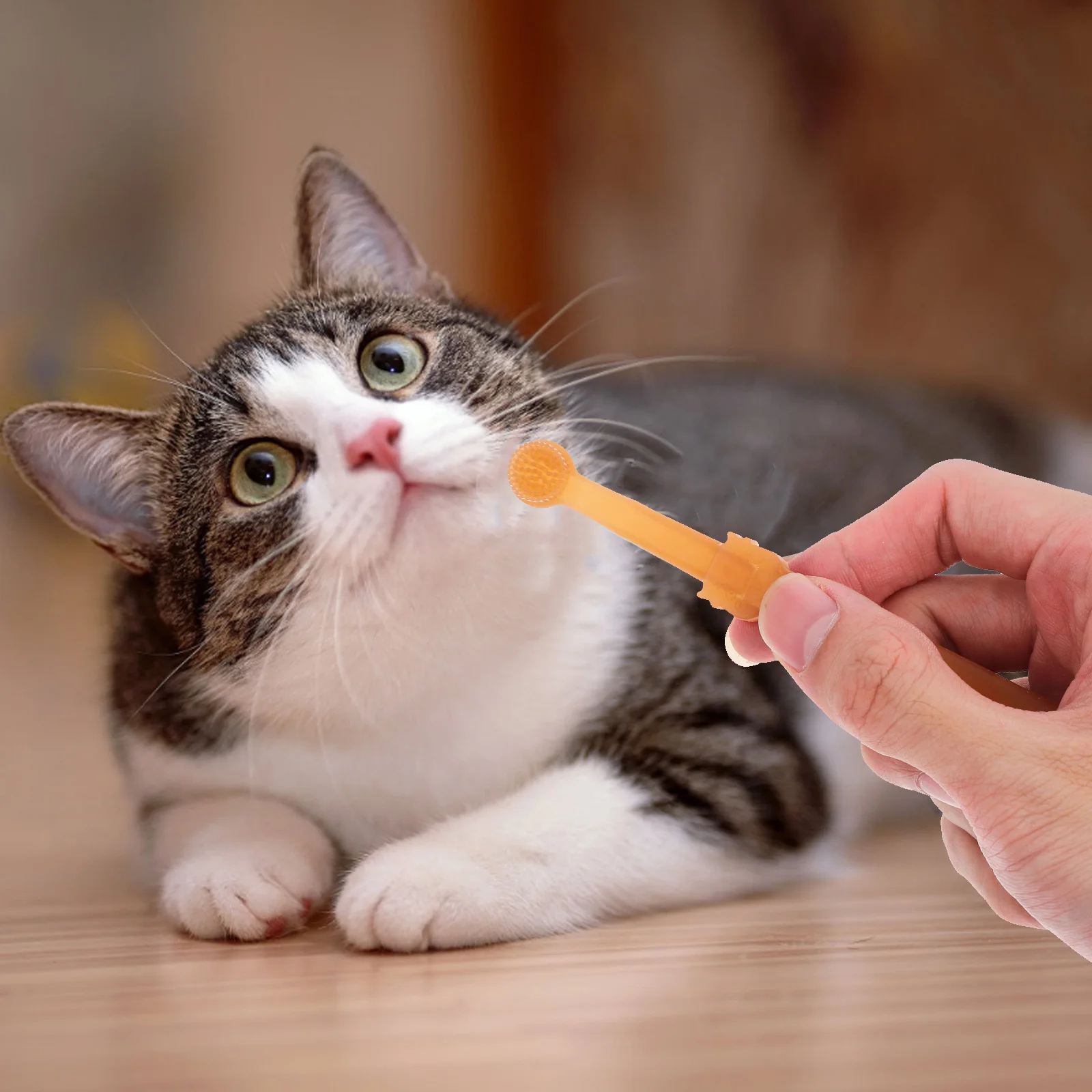 1Set Silicone Pet Toothbrush Set for Cats and Dogs Dual-Head Design Soft Bristles for Cleaning Portable Oral Care
1Set Silicone Pet Toothbrush Set for Cats and Dogs Dual-Head Design Soft Bristles for Cleaning Portable Oral Care