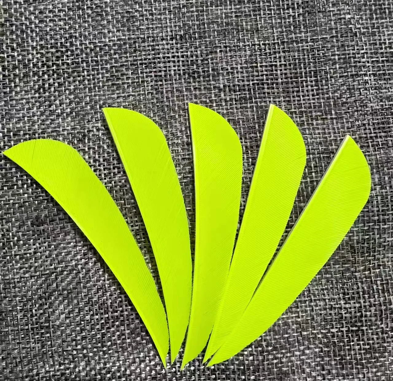 50pcs 3Inch Archery Feathers Arrow Fletching 3" Water Drop Shape Archery Vanes Traditional Feather For wood Bamboo Carbon Shaft
50pcs 3Inch Archery Feathers Arrow Fletching 3" Water Drop Shape Archery Vanes Traditional Feather For wood Bamboo Carbon Shaft