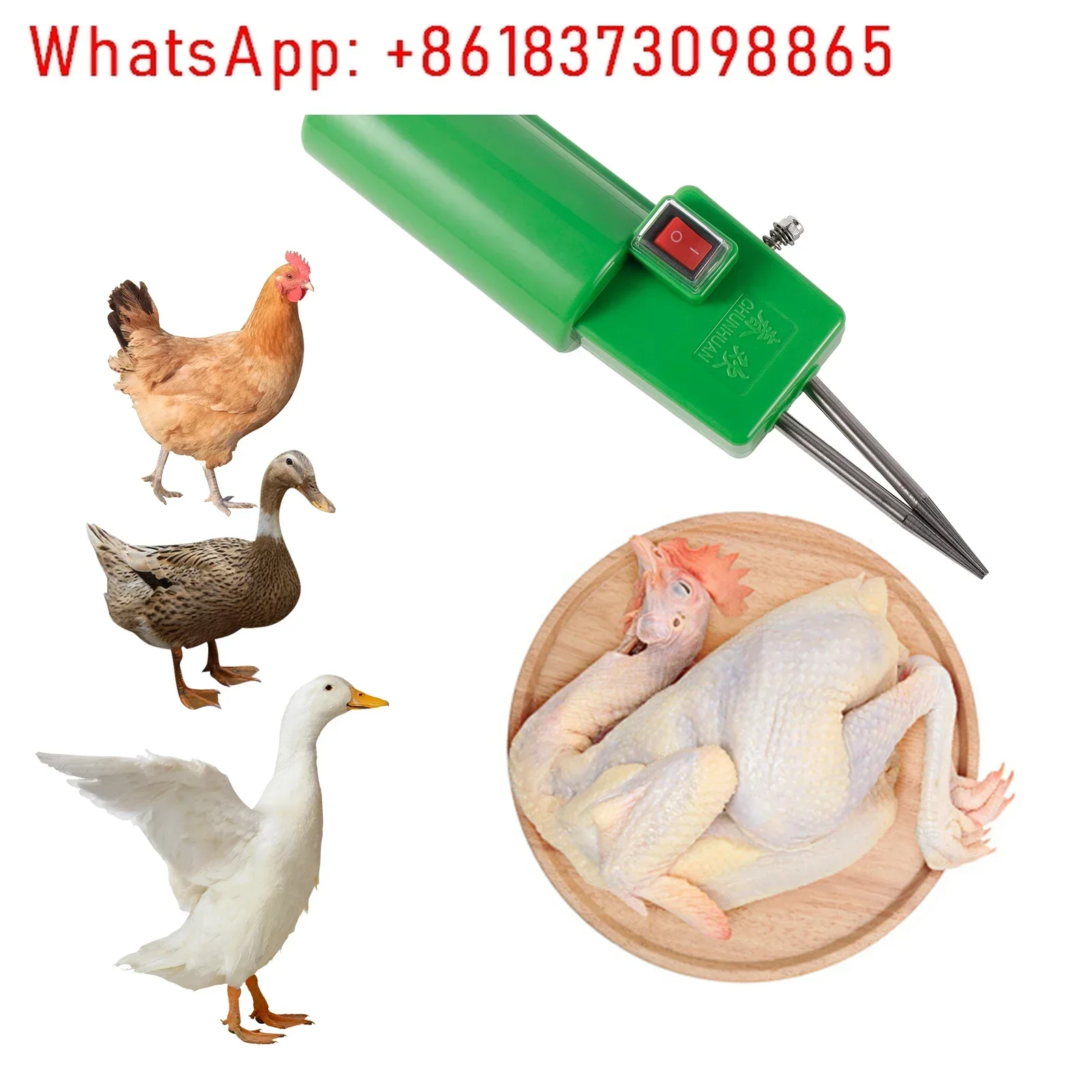 New Electric Poultry Plucker Chicken Duck Goose Short Hair Removal Machine Poultry Feather Remover Epilator Dehairing 1 Set
New Electric Poultry Plucker Chicken Duck Goose Short Hair Removal Machine Poultry Feather Remover Epilator Dehairing 1 Set