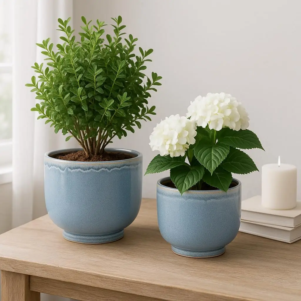 Home Decor Flower Pots and Planters – Plant Pots for Indoor and Outdoor Plant Pots for Herbs, Vines, or Succulents – G
Home Decor Flower Pots and Planters – Plant Pots for Indoor and Outdoor Plant Pots for Herbs, Vines, or Succulents – G