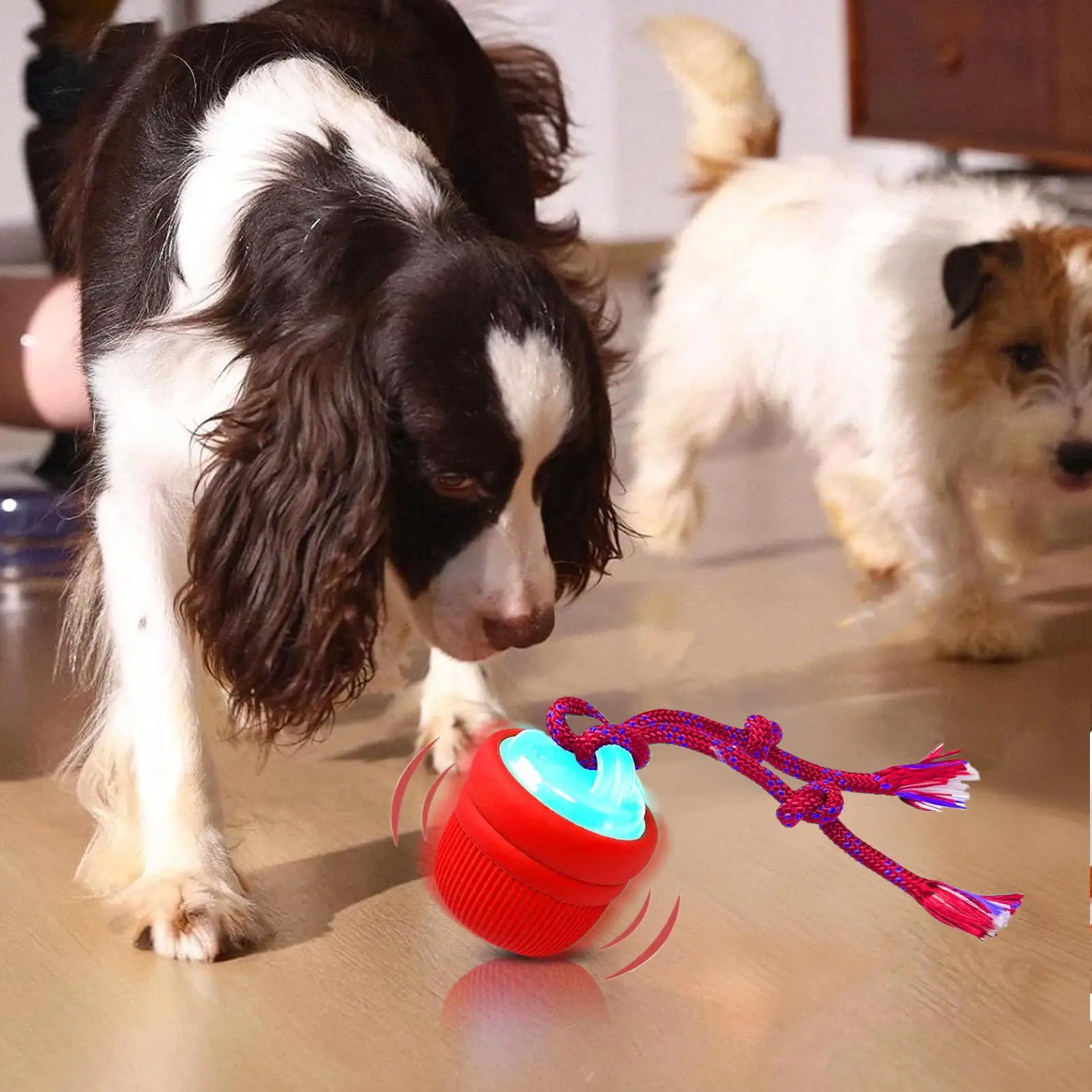 Игрушки для щенков, устойчивый к укусам жевательный прочный движущийся мяч для собак, для маленьких, средних и больших щенков, домашний домашний открытый бассейн
Игрушки для щенков, устойчивый к укусам жевательный прочный движущийся мяч для собак, для маленьких, средних и больших щенков, домашний домашний открытый бассейн