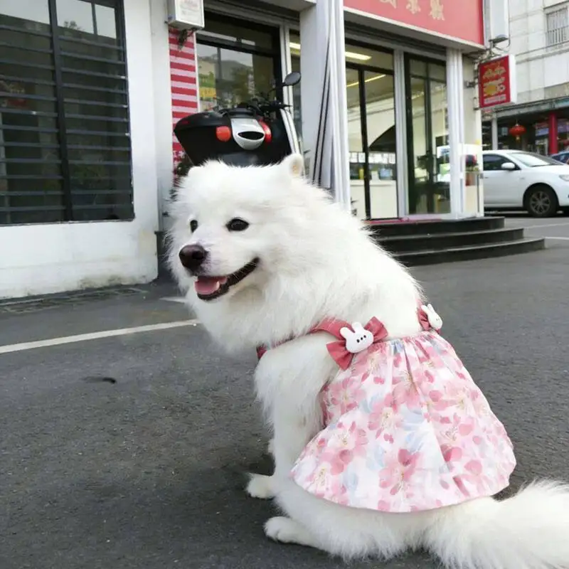 Princess Dress for Large Dogs, Summer Breathable Mesh Sundress with Lace Ruffles, Cute Puppy Skirt for Golden Retriever Labrador
Princess Dress for Large Dogs, Summer Breathable Mesh Sundress with Lace Ruffles, Cute Puppy Skirt for Golden Retriever Labrador