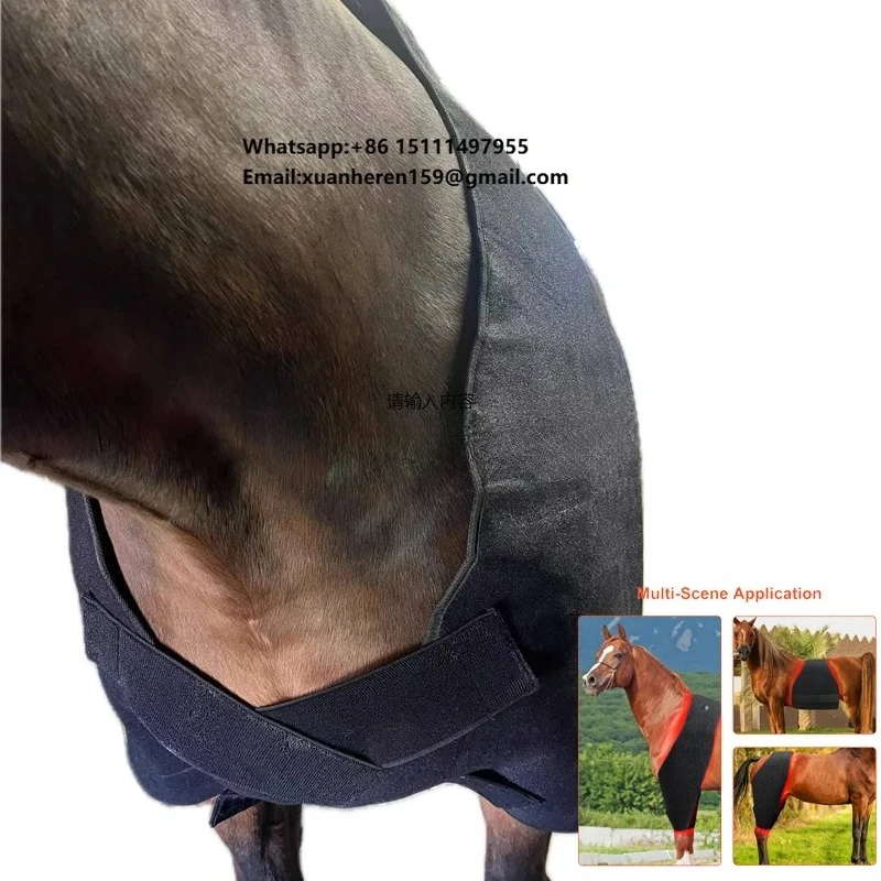 2025 OEM ODM Equine 660nm 850nm Horse Red Therapy Light Back Blanket LED Infrared Red Light Therapy for Horse Pain Relief
2025 OEM ODM Equine 660nm 850nm Horse Red Therapy Light Back Blanket LED Infrared Red Light Therapy for Horse Pain Relief