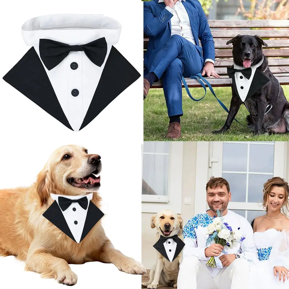 Dog Suit Scarf Teddy Golden Retriever Dog Rowena Dog Dress Suit Suit Pet Costume Clothes Collar Accessories Party Dog Busin O5S7
Dog Suit Scarf Teddy Golden Retriever Dog Rowena Dog Dress Suit Suit Pet Costume Clothes Collar Accessories Party Dog Busin O5S7
