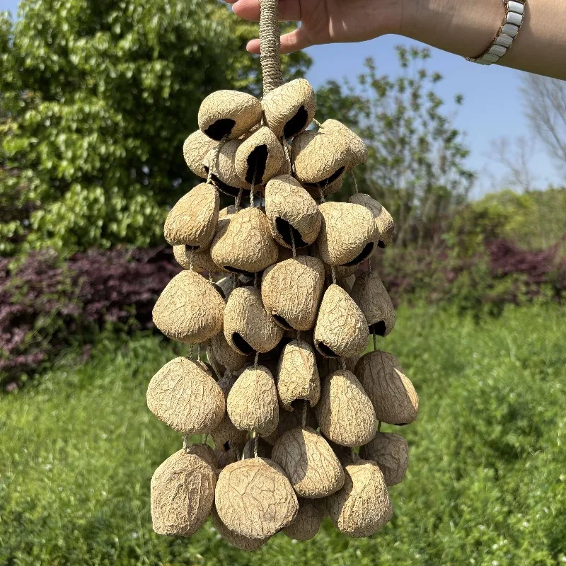 Natural Fruit Shell Bell Sound Healing Handbell Yoga Meditation Mindfulness Wind Chime Handmade Outdoor Hanging Wind Chimes
Natural Fruit Shell Bell Sound Healing Handbell Yoga Meditation Mindfulness Wind Chime Handmade Outdoor Hanging Wind Chimes
