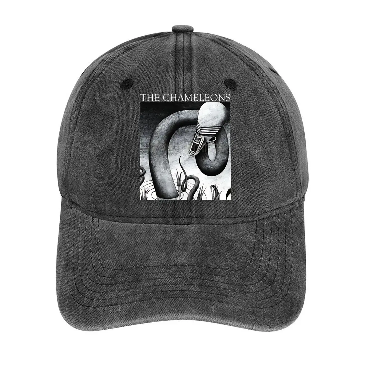 The Chameleons abstract graphic for a music - band - or artistic - related theme Washed Baseball Cap
The Chameleons abstract graphic for a music - band - or artistic - related theme Washed Baseball Cap