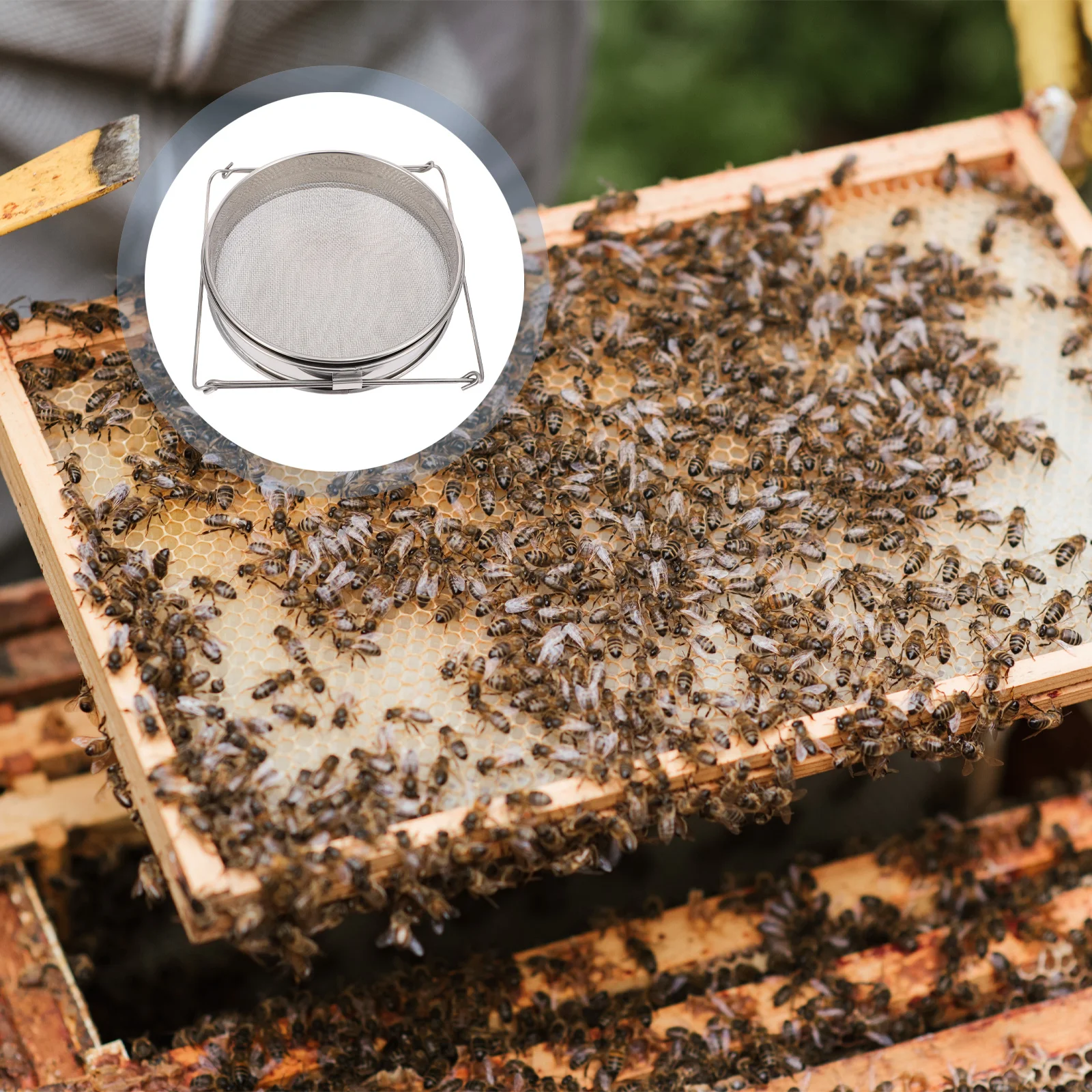 1Pcs Stainless Steel Honey Filter Double Layer Strainer Large Bee-Keeping Supply Sturdy Wear-Resistant Honey Extracting Tool
1Pcs Stainless Steel Honey Filter Double Layer Strainer Large Bee-Keeping Supply Sturdy Wear-Resistant Honey Extracting Tool