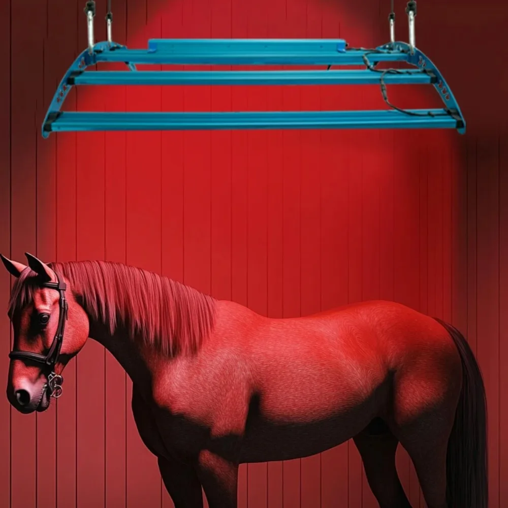 Solarium Device For Horses & Humans, Pain Relief
Solarium Device For Horses & Humans, Pain Relief