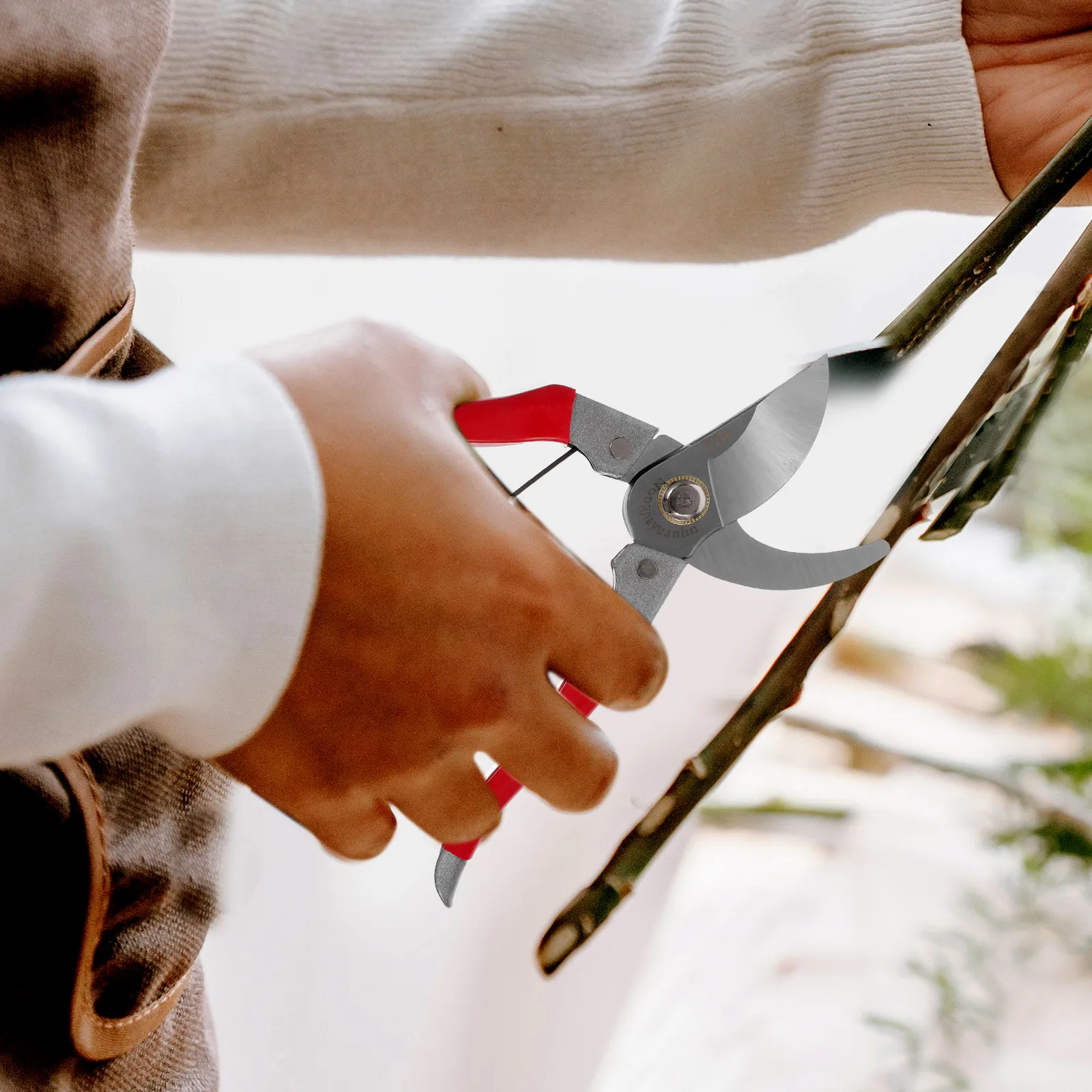 Садовые ножницы, режущий инструмент для ветвей, секаторы для садоводства, ручные инструменты, ножницы для цветов, стебли, пейзажный дизайн, сталь 
Садовые ножницы, режущий инструмент для ветвей, секаторы для садоводства, ручные инструменты, ножницы для цветов, стебли, пейзажный дизайн, сталь