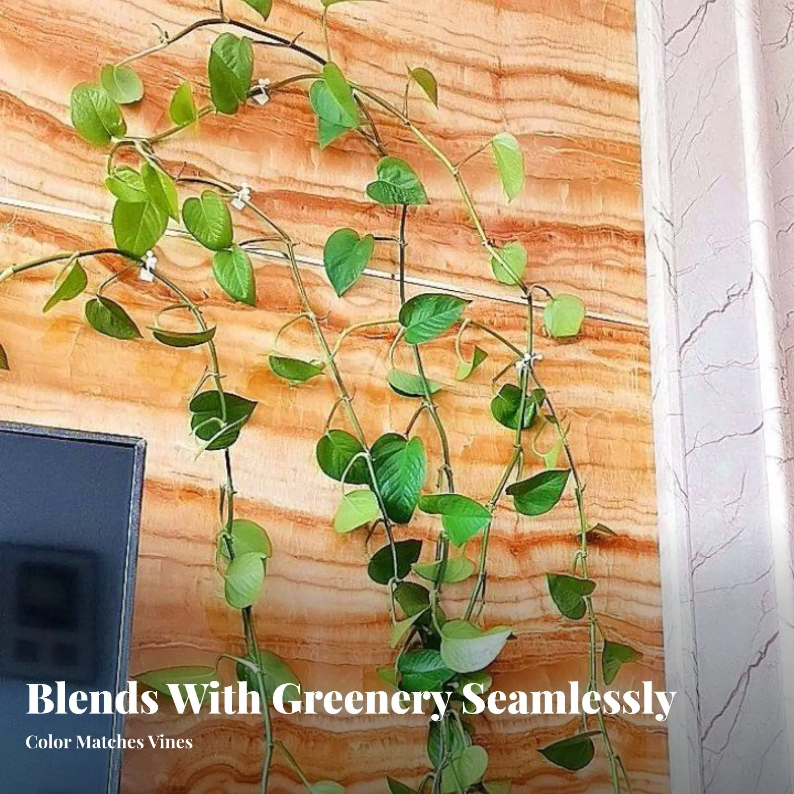 foliageShaped Climbing Plant holder Space Saving foliageShaped holder versatile Weather-Resistant for Indoor Gardeners
foliageShaped Climbing Plant holder Space Saving foliageShaped holder versatile Weather-Resistant for Indoor Gardeners