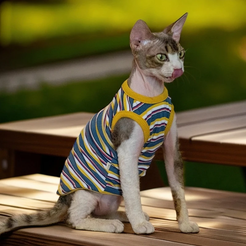 Devon Cat Striped Tank Top Comfortable Thin Bottom Shirt Cat High Stretch Clothing
Devon Cat Striped Tank Top Comfortable Thin Bottom Shirt Cat High Stretch Clothing