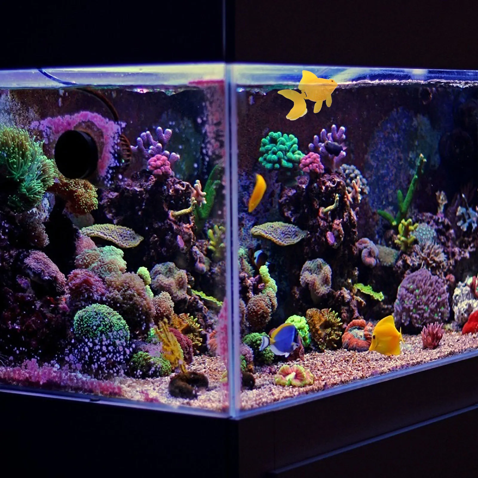 16Pcs Artificial Plastic Tropical Fish Realistic Floating Aquarium Simulation Fish Tank Decoration Fake Goldfish 
16Pcs Artificial Plastic Tropical Fish Realistic Floating Aquarium Simulation Fish Tank Decoration Fake Goldfish