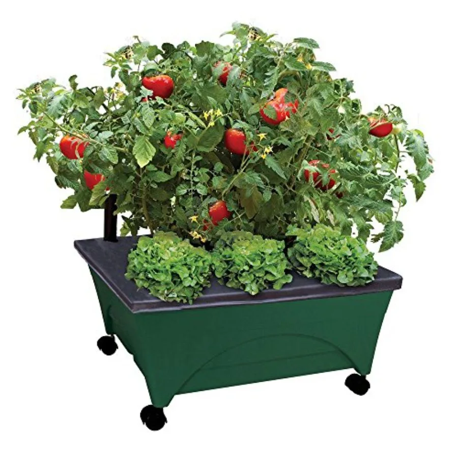 2341-1HD City Picker Raised Bed Self Watering and Improved Aeration Mobile Unit with Casters-Hunter Green Grow Box and Seed Sta
2341-1HD City Picker Raised Bed Self Watering and Improved Aeration Mobile Unit with Casters-Hunter Green Grow Box and Seed Sta