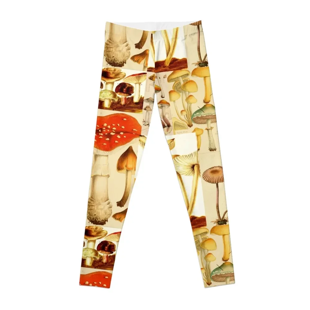 Oldish Vintage Mushroom Montage Set #1 Leggings Female legging pants legging pants raises butt sports woman gym Womens Leggings
Oldish Vintage Mushroom Montage Set #1 Leggings Female legging pants legging pants raises butt sports woman gym Womens Leggings