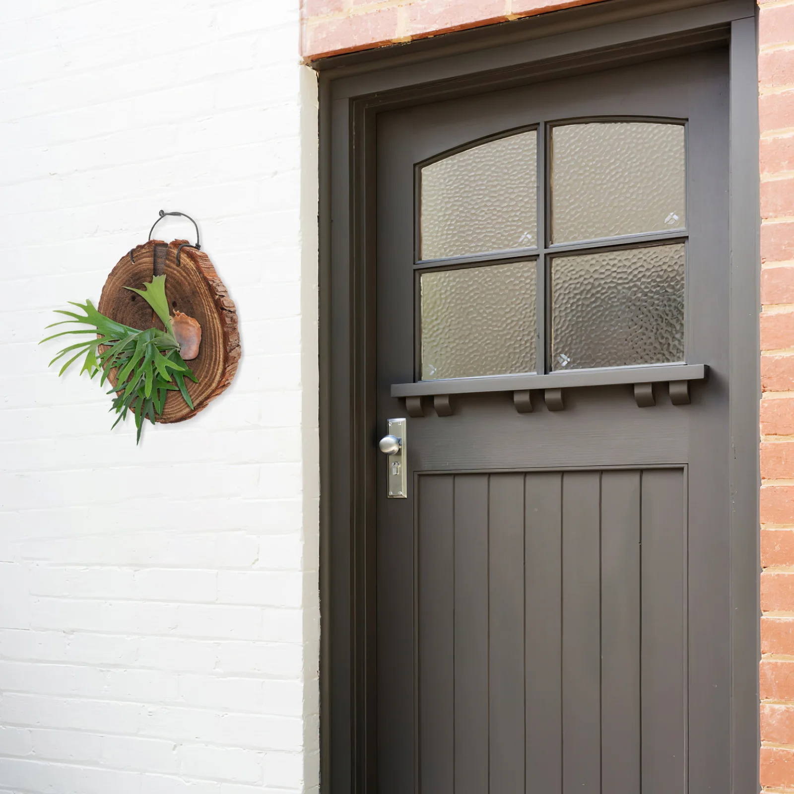 Настенные подвесные кашпо для папоротника Staghorn, кашпо для декора растений, подставки
Настенные подвесные кашпо для папоротника Staghorn, кашпо для декора растений, подставки