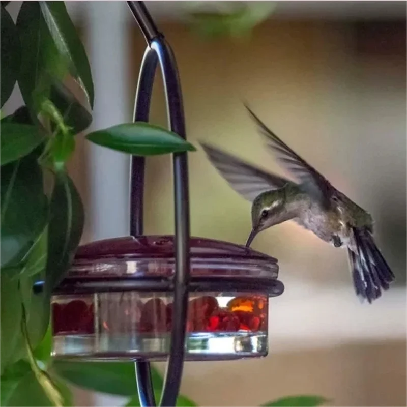 Field Feeding Hummingbird Bottle Hanging Hummingbird Garden Outdoor Plastic Flower Iron Hook Feeder Yard Window Bird Drinker
Field Feeding Hummingbird Bottle Hanging Hummingbird Garden Outdoor Plastic Flower Iron Hook Feeder Yard Window Bird Drinker