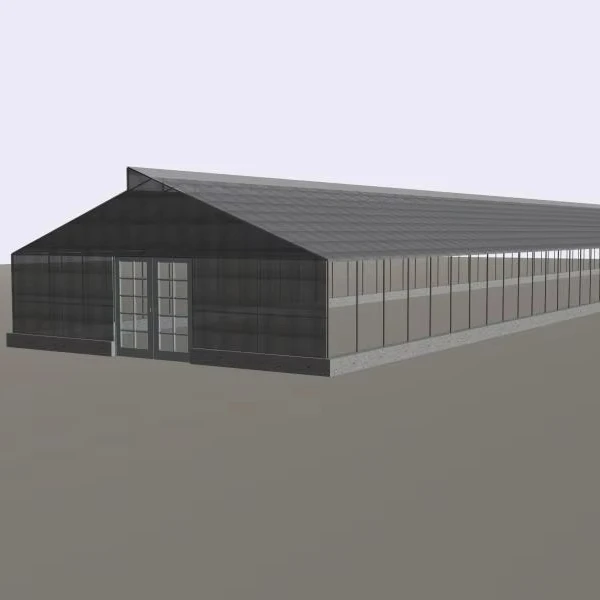 High Quality Steel Chicken Cage Automation Laying Hen Farm Design New Condition Chicken House For Poultry Farm Building
High Quality Steel Chicken Cage Automation Laying Hen Farm Design New Condition Chicken House For Poultry Farm Building
