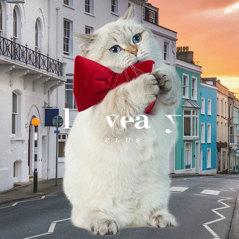 Lazyeazy Velvet Bowtie Pet Collar Holiday Dog Accories New Year Festive Pet Supplies Universal Fit Other Brand
Lazyeazy Velvet Bowtie Pet Collar Holiday Dog Accories New Year Festive Pet Supplies Universal Fit Other Brand