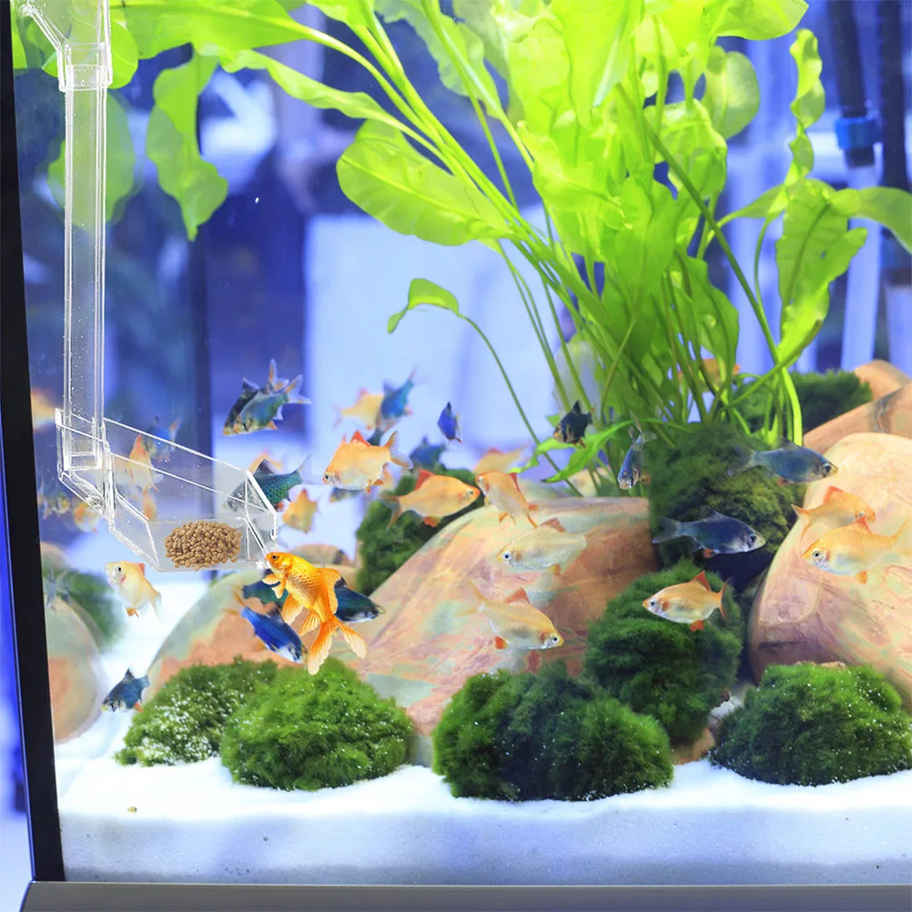 Tank Bowl Sinking Shrimp Food Feeding Tube Acrylic Aquarium Supplies Easy Install Clean Hanging Design Shrimp Feeding Dish
Tank Bowl Sinking Shrimp Food Feeding Tube Acrylic Aquarium Supplies Easy Install Clean Hanging Design Shrimp Feeding Dish