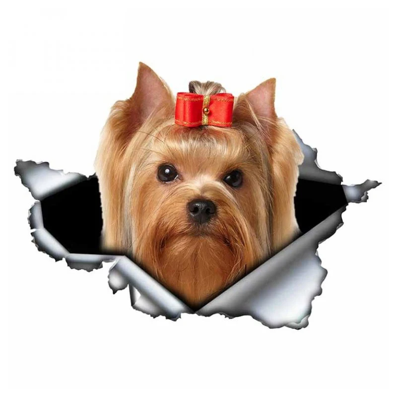 A0104# 3D Self-adhesive Decal Yorkshire Terrier Dog Car Sticker Waterproof Auto Decors on Bumper Rear Window Laptop
A0104# 3D Self-adhesive Decal Yorkshire Terrier Dog Car Sticker Waterproof Auto Decors on Bumper Rear Window Laptop