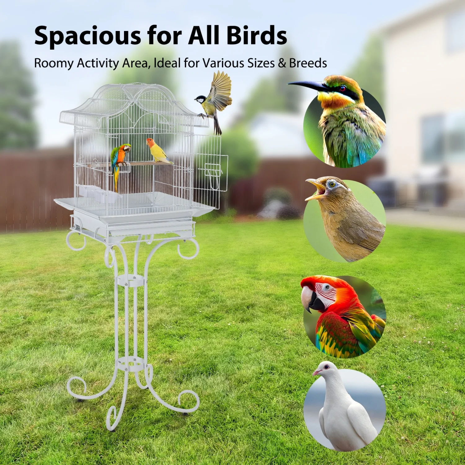 58" Heavy Duty Wrought Iron Bird Cage with Stand, Scroll Design Flight Cage, Removable Tray, Feeding Bowls & Perches, Easy Clean Bird Cage for Parakeets, Cockatiels, Conures
58" Heavy Duty Wrought Iron Bird Cage with Stand, Scroll Design Flight Cage, Removable Tray, Feeding Bowls & Perches, Easy Clean Bird Cage for Parakeets, Cockatiels, Conures